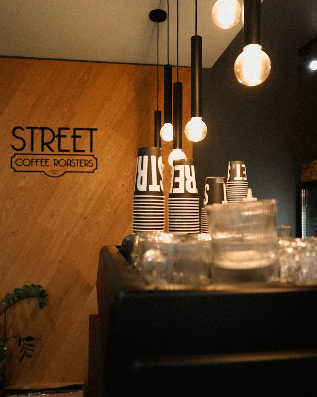 Street Coffee Bega, Timișoara
